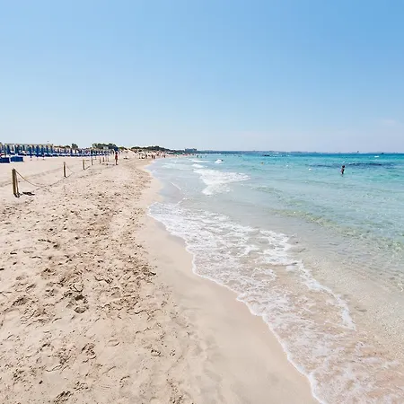 Beach M362
