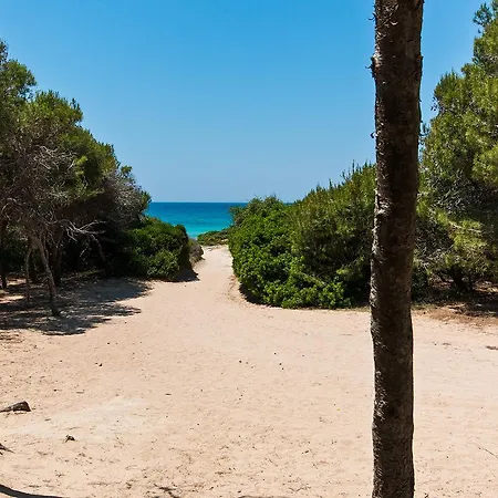 Beach M362 Gallipolli